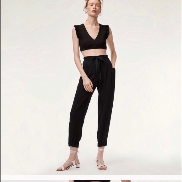 Wilfred Pants - Aritzia Wilfred Marais black pants.